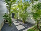 well-maintained garden pathway with plants