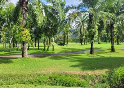 A view of a lush green garden with palm trees