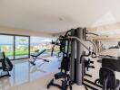 Residential gym with modern exercise equipment and large windows with a view