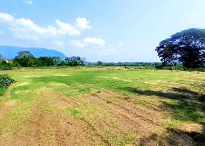 Property ID201LS Land for sale in Chiang Dao, 15 – 3 - 54 Rai near Wat Amphawan