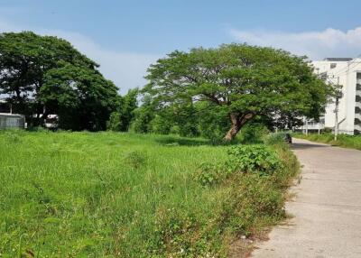 Property id141ls Land for sale in ChangPuek 0-0-52Rai near Rajabhat Chiangmai