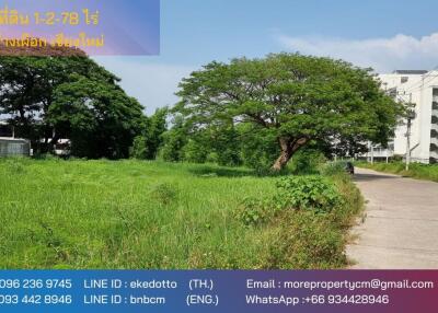 Property id141ls Land for sale in ChangPuek 0-0-52Rai near Rajabhat Chiangmai