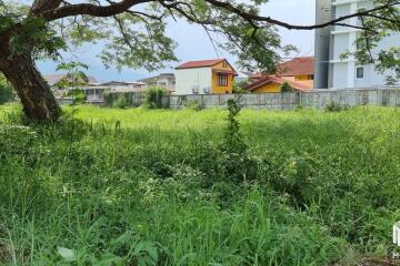 Property id145ls Land for sale in ChangPuek 1-2-78Rai near Rajabhat Chiangmai