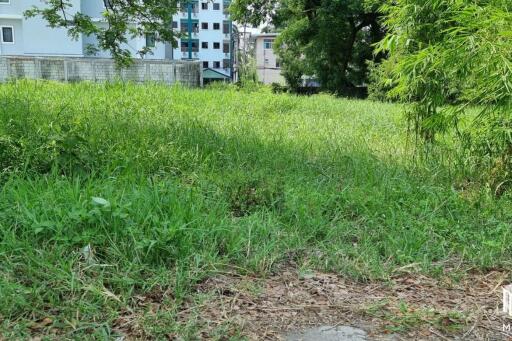 Property id145ls Land for sale in ChangPuek 1-2-78Rai near Rajabhat Chiangmai