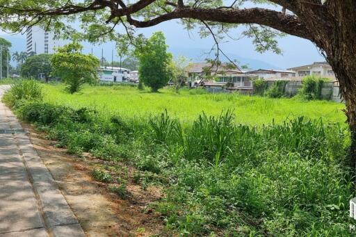 Property id145ls Land for sale in ChangPuek 1-2-78Rai near Rajabhat Chiangmai