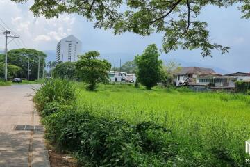 Property id145ls Land for sale in ChangPuek 1-2-78Rai near Rajabhat Chiangmai