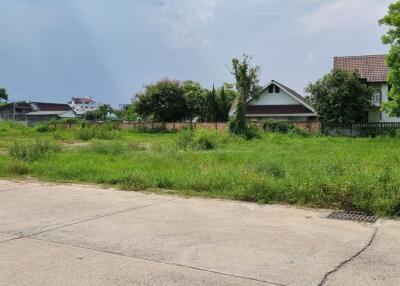 Property id144ls Land for sale in ChangPuek 1-2-78Rai near Rajabhat Chiangmai