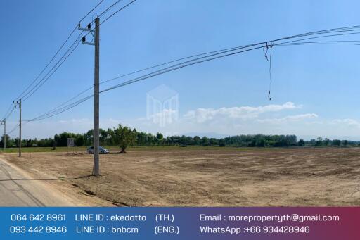 More-069ls Land for sale in San Kamphaeng, 4 rai 1 ngan, 72 sq.wa.