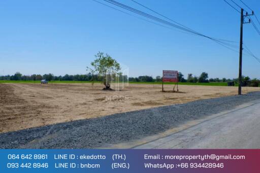 More-069ls Land for sale in San Kamphaeng, 4 rai 1 ngan, 72 sq.wa.