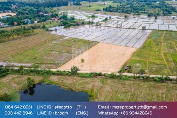 More-069ls Land for sale in San Kamphaeng, 4 rai 1 ngan, 72 sq.wa.