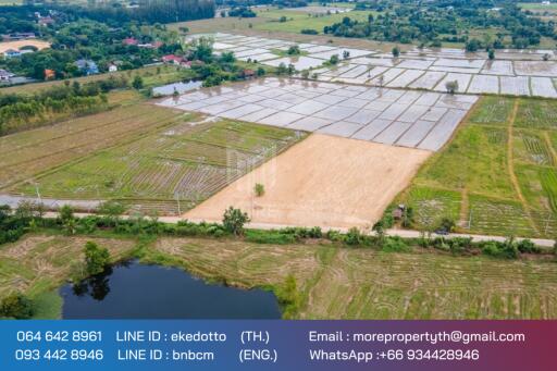 More-069ls Land for sale in San Kamphaeng, 4 rai 1 ngan, 72 sq.wa.