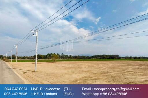 More-069ls Land for sale in San Kamphaeng, 4 rai 1 ngan, 72 sq.wa.