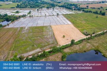 More-069ls Land for sale in San Kamphaeng, 4 rai 1 ngan, 72 sq.wa.