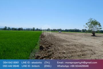 More-069ls Land for sale in San Kamphaeng, 4 rai 1 ngan, 72 sq.wa.