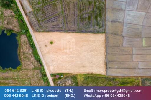 More-069ls Land for sale in San Kamphaeng, 4 rai 1 ngan, 72 sq.wa.