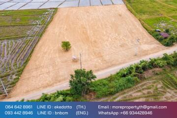 More-069ls Land for sale in San Kamphaeng, 4 rai 1 ngan, 72 sq.wa.