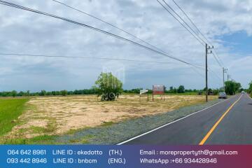 More-069ls Land for sale in San Kamphaeng, 4 rai 1 ngan, 72 sq.wa.