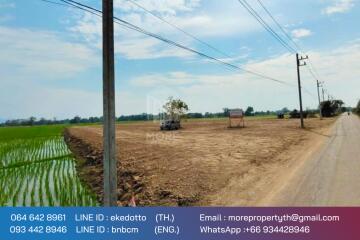 More-069ls Land for sale in San Kamphaeng, 4 rai 1 ngan, 72 sq.wa.