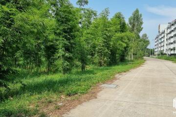 Property id146ls Land for sale in ChangPuek 1-2-78Rai near Rajabhat Chiangmai