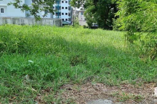 Property id146ls Land for sale in ChangPuek 1-2-78Rai near Rajabhat Chiangmai