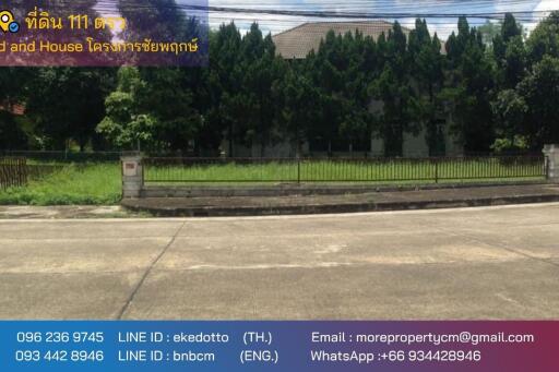 land for sale in Chaiyapuek Land and House housing estate 444m2,nearby Maejo