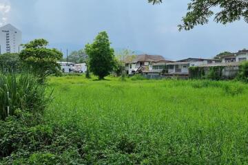 Property id142ls Land for sale in ChangPuek 0-1-80Rai near Rajabhat Chiangmai