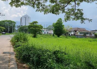 Property id142ls Land for sale in ChangPuek 0-1-80Rai near Rajabhat Chiangmai