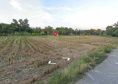 Property id149ls Land for sale in hangdong 1-1-53Rai nearSanctum Co.