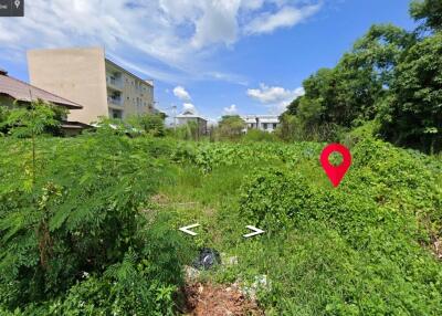 Property ID189LS Land for sale in Sutep Chiangmai 2Ngan near Chiangmai University