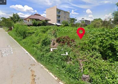 Property ID189LS Land for sale in Sutep Chiangmai 2Ngan near Chiangmai University