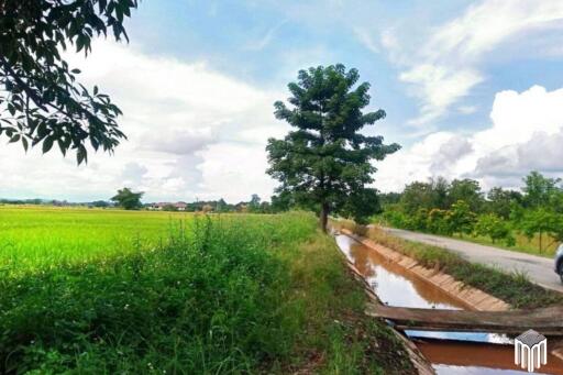 Property id 225ls Land for sale in San Pong, Mae Rim. 1-1-11Sq.wa., near San Pong Subdistrict Municipality.