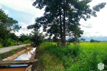 Property id 225ls Land for sale in San Pong, Mae Rim. 1-1-11Sq.wa., near San Pong Subdistrict Municipality.