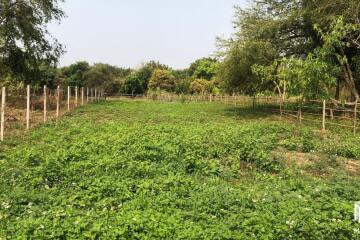 Property id137Land for sale in mae rim,34 sq.m. near river-ping