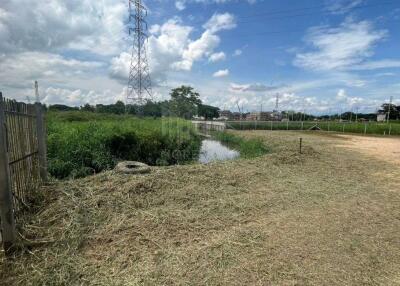 Property ID183 Land for sale in San sai, 0-1- 42 Rai near Central Festival Chiang Mai