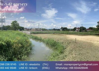 Property ID183 Land for sale in San sai, 0-1- 42 Rai near Central Festival Chiang Mai