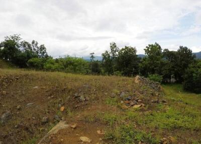 Property id120LS land for sale chiang mai 12-3-32 sq.wa Mae onn Chiangmai