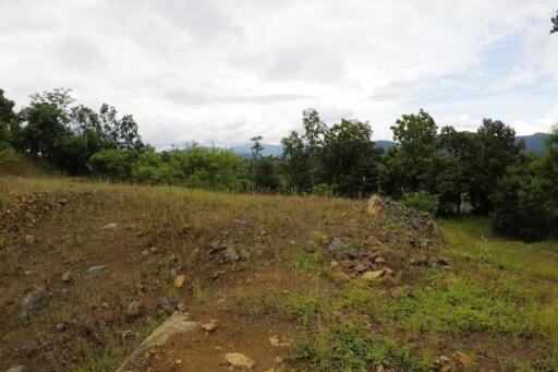 Property id120LS land for sale chiang mai 12-3-32 sq.wa Mae onn Chiangmai