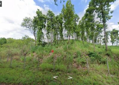 Property id120LS land for sale chiang mai 12-3-32 sq.wa Mae onn Chiangmai