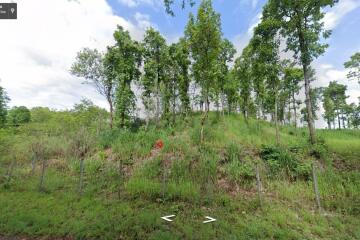 Property id120LS land for sale chiang mai 12-3-32 sq.wa Mae onn Chiangmai