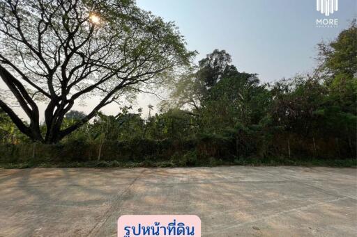 MORE-123LS Land for sale in Soi Wat Don Kaew, 1 rai (400 sq.wah = 1,600 sq.m.), Don Kaeo Subdistrict, Mae Rim District, Chiang Mai.