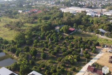 Property ID213LS Land for sale in, San Kam Pang, 1 Rai., near Payap University.