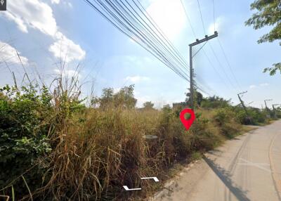 Land for sale in San kam phaeng 1Rai 3ngan 95sq.wa. near Charoen Charoen market (ID: 229LS)