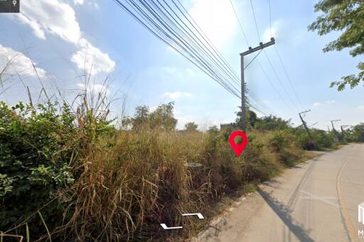 Land for sale in San kam phaeng 1Rai 3ngan 95sq.wa. near Charoen Charoen market (ID: 229LS)