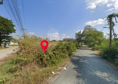 Land for sale in San kam phaeng 1Rai 3ngan 95sq.wa. near Charoen Charoen market (ID: 229LS)