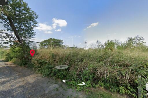 Land for sale in San kam phaeng 1Rai 3ngan 95sq.wa. near Charoen Charoen market (ID: 229LS)