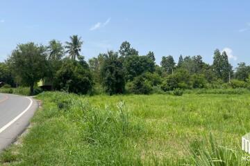 Property id 062LS Land for sale in Chiang Mai. Mae Rim-Ban Rai Road, 4-1-23 rai, near Prem International School, Chiang Mai