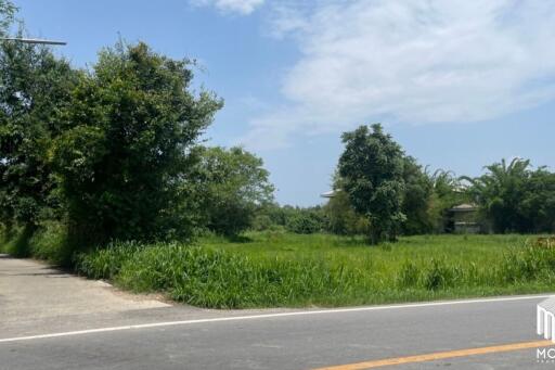 Property id 062LS Land for sale in Chiang Mai. Mae Rim-Ban Rai Road, 4-1-23 rai, near Prem International School, Chiang Mai