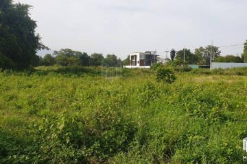 Property id175ls Land for sale in Hangdong 2-2-41 Rai near Grand Canyon water park