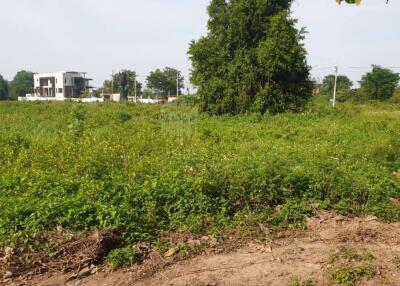 Property id175ls Land for sale in Hangdong 2-2-41 Rai near Grand Canyon water park