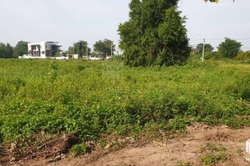 Property id175ls Land for sale in Hangdong 2-2-41 Rai near Grand Canyon water park